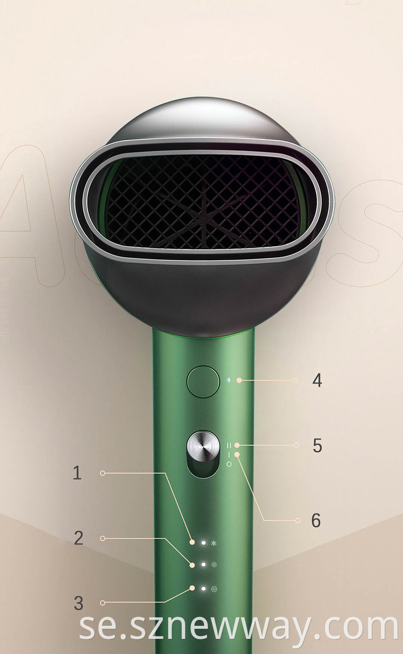 Showsee Professinal Hair Dryer
